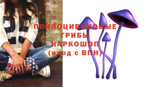 мдма Медвежьегорск