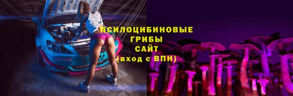 мдма Медвежьегорск