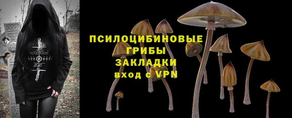 мдма Медвежьегорск