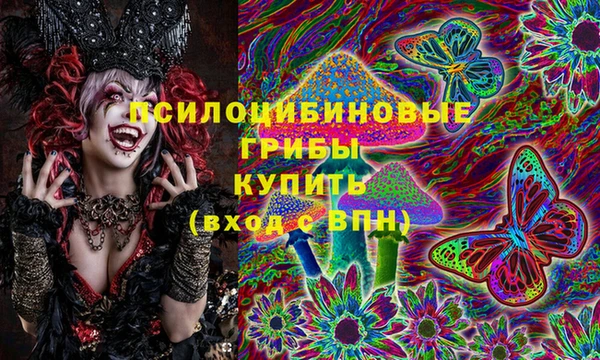 мдма Медвежьегорск