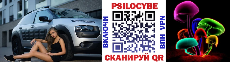 продажа наркотиков  Каменка  Галлюциногенные грибы Psilocybe 