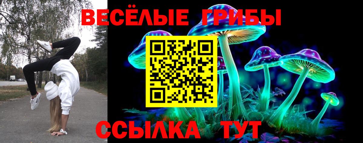 Галлюциногенные грибы ЛСД  Псилоцибиновые грибы MAGIC MUSHROOMS  Каменка 