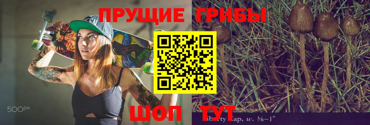 Каменка  Вход с VPN  Каннабис  Кокаин  Меф МЯУ МЯУ кристаллы  ГАШ 