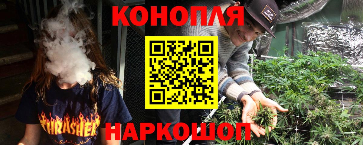Бошки марихуана VHQ  Каменка  Бошки марихуана конопля  Марихуана план 